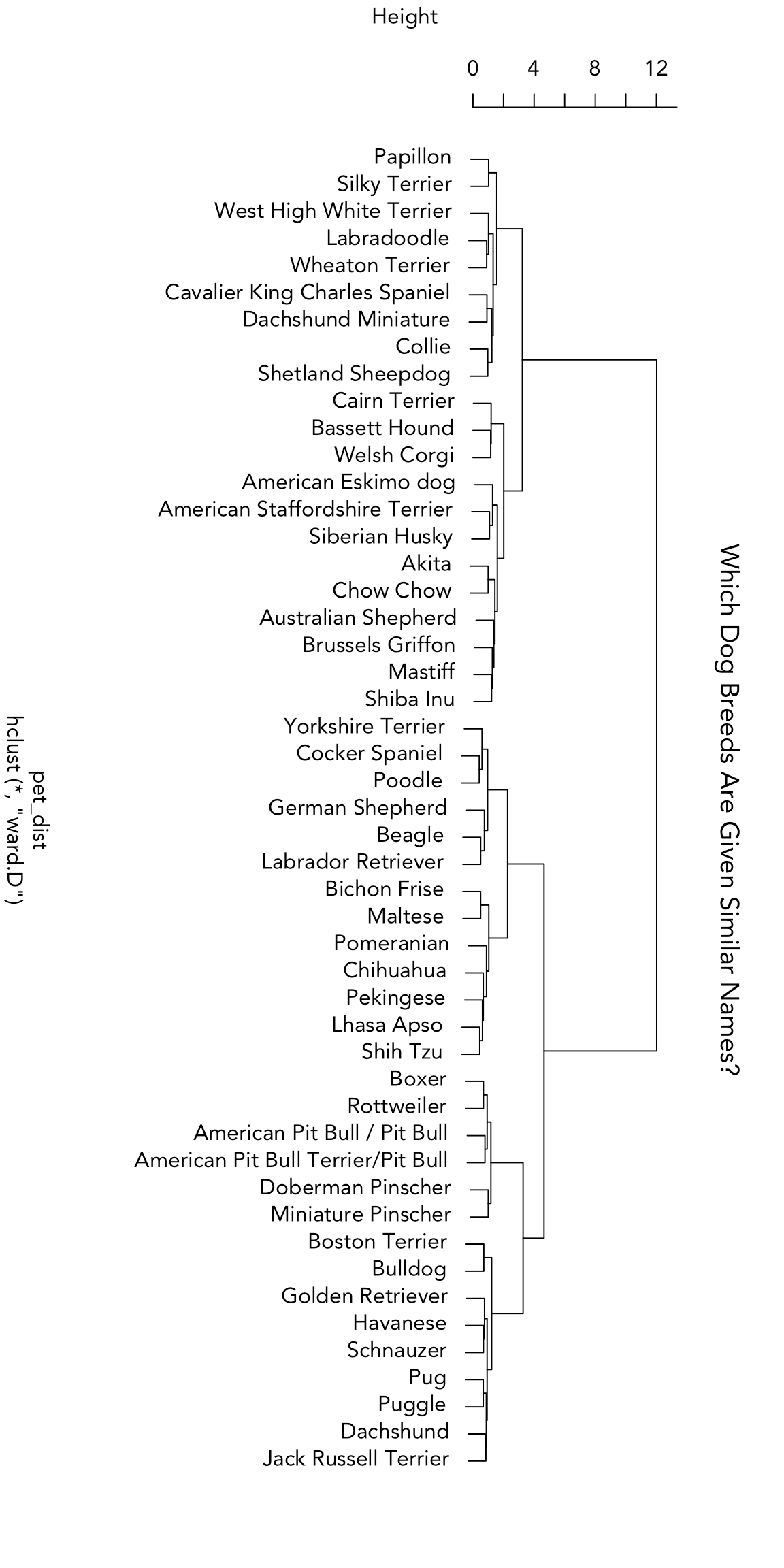 Exploring the Relationship Between Dog Names and Breeds